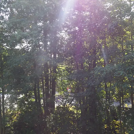 דירה Bodeblick בראונלאגה