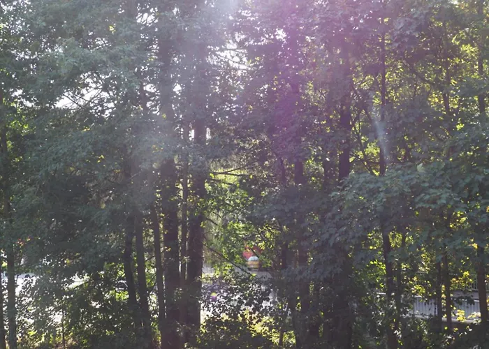 Daire Bodeblick Braunlage